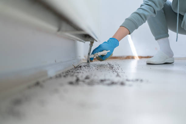 Professional Pest Control in Waskom, TX
